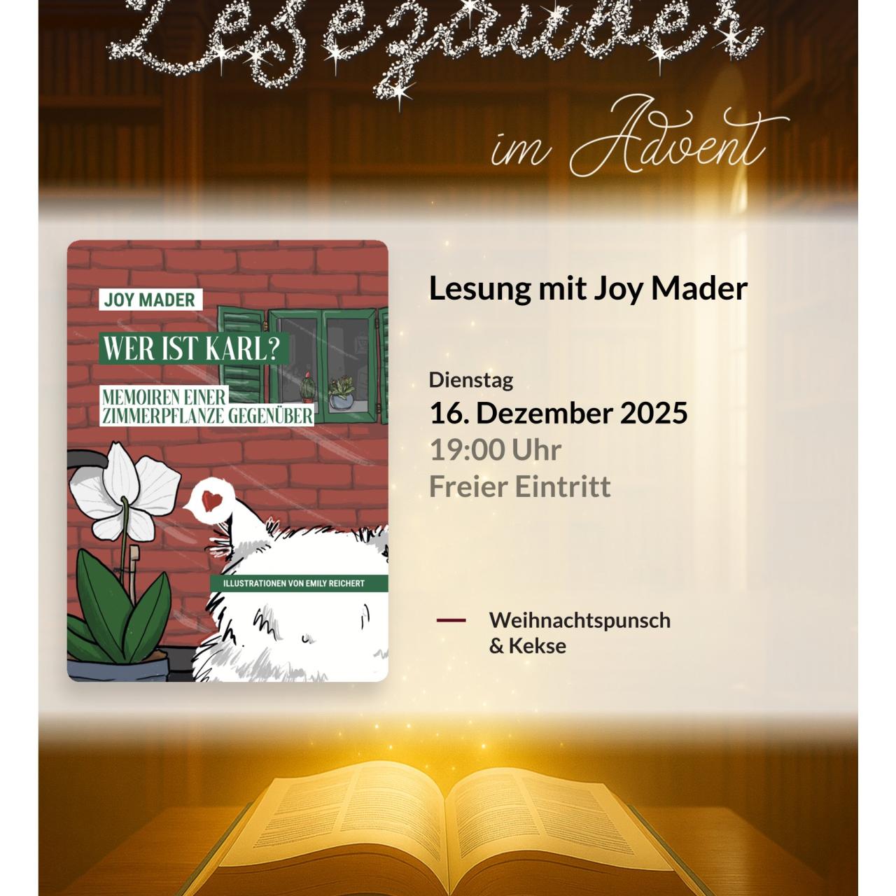 Lesezauber Advent Joy Mader